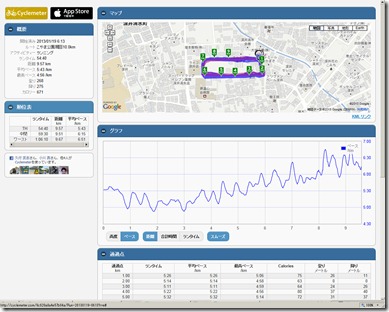 cyclemeter130119