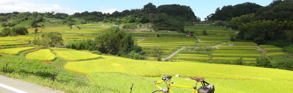 2013/09/29:実りたる 稲穂と遊ぶ 赤とんぼ [明日香ツーリング]