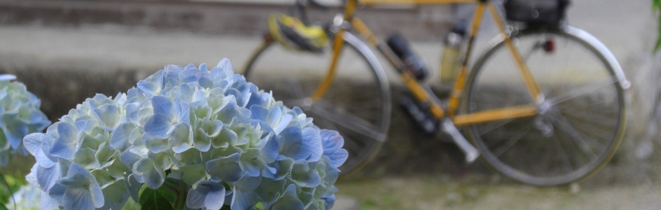 2014/06/15:延命寺 2014/06/15:延命寺