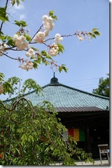 090502_104420