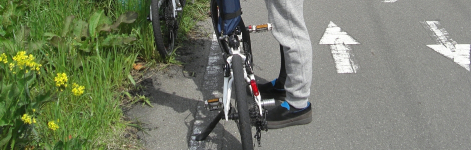 2015/04/11:花散らす 都路の風 背中押し [嵐山-東山ポタリング]