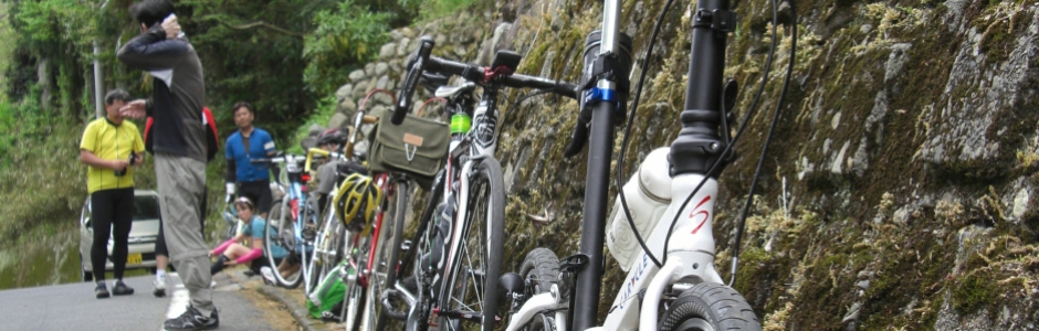 2015/05/03:川端の 空覆いたる 鯉幟 [富田林寺内町-滝谷不動-観心寺-紀見峠]