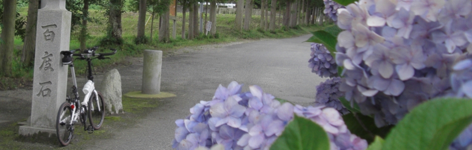 2015/06/28:雲間より 早苗待ち侘ぶ 朝日かな [竹内峠-葛城の道-水越峠]
