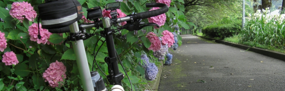 2015/07/04:梅雨明けは 遠し峠の 雨宿り [紀見峠-千早峠(金剛トンネル)]