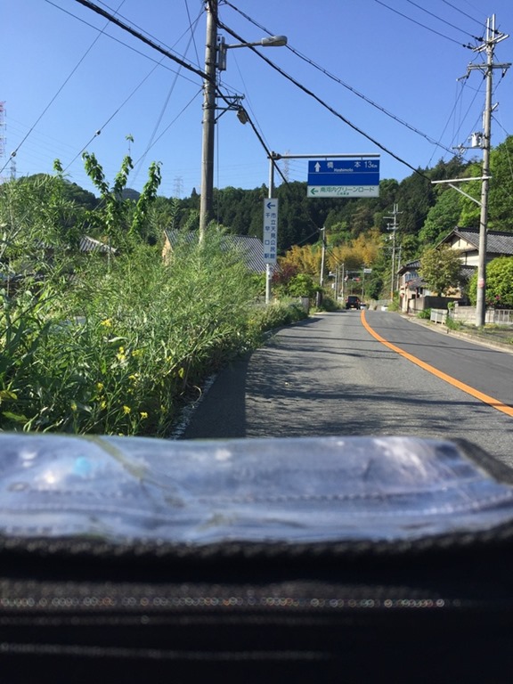 独走の雨上がり [南河内グリーンロード]