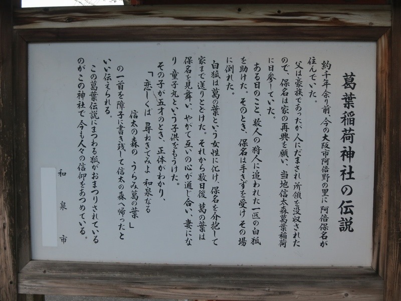 早朝ちょいポタ 小栗街道 坂虎日記 乗鞍への道