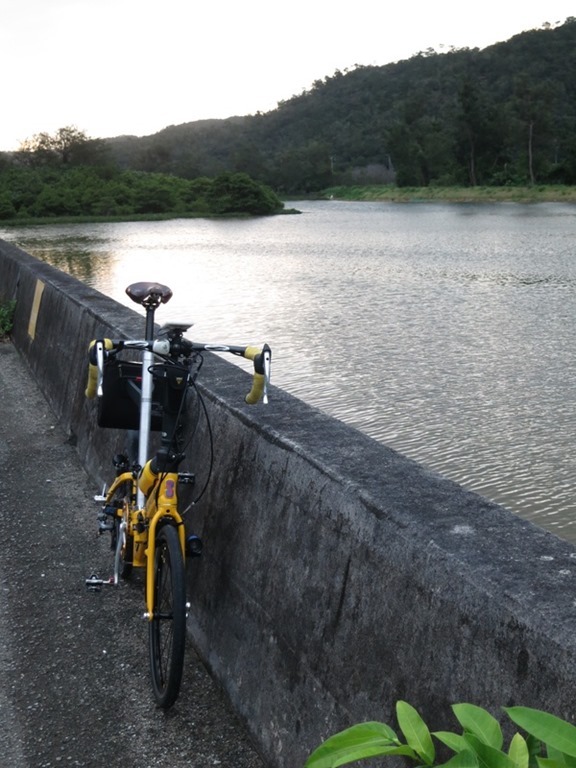 八重岳 ２月４日 自転車