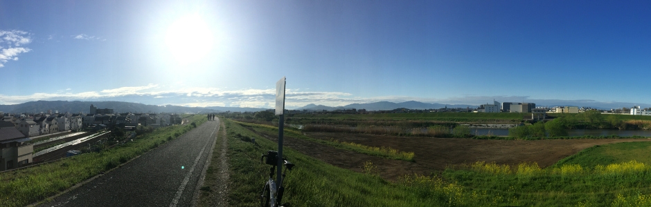 雨上がり 桜に虎に ぶどう狩り [ぶどう坂－信貴山朝護孫子寺]
